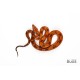 L231-09F “FRAC” - Boa Constrictor - Blood 50% Het for Anery 2